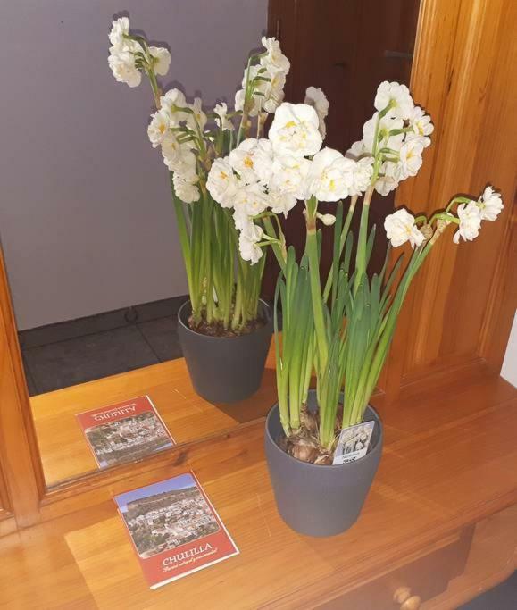 Apartamento Los Narcisos Chulilla Buitenkant foto